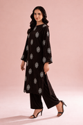 2 Piece  Chocolate Embroidered Velvet - Unstitched